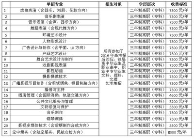 湖南艺术职业学院2016年艺术类招生简章